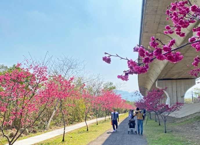 新竹免費去處 新竹免費去處