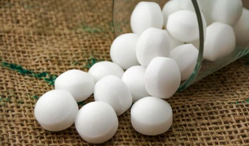 驅貓方法 驅貓方法