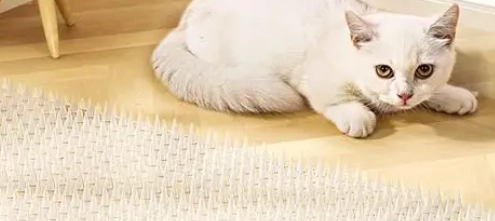驅貓墊有用嗎