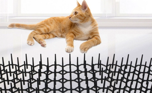 驅貓墊推薦