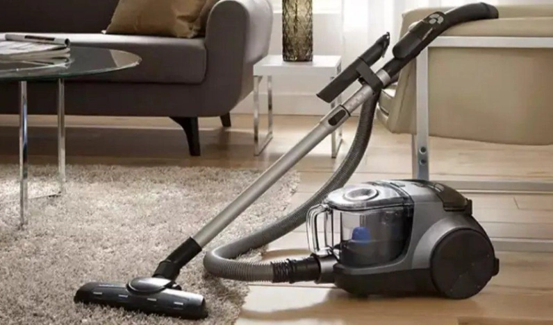 貓咪討厭的東西全攻略：避開這些地雷讓愛貓更安心