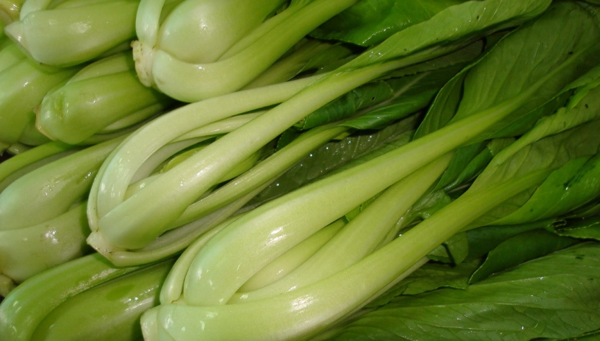 花枝鼠可以吃的水果