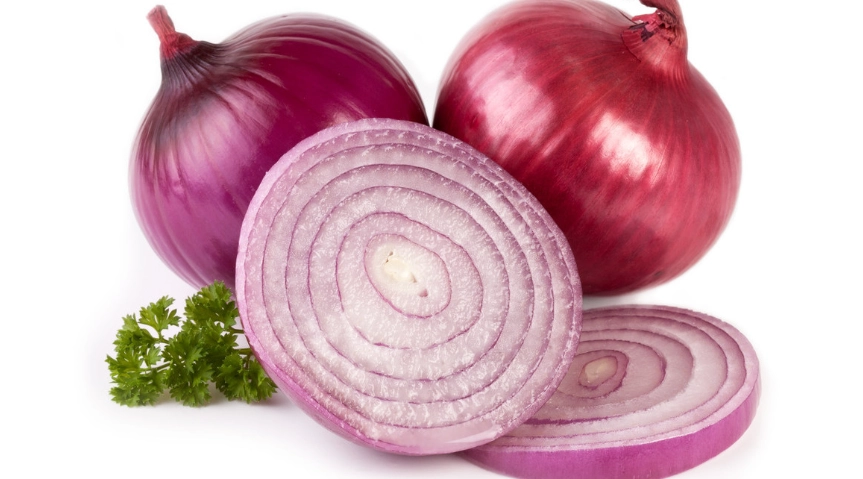 花枝鼠餵食指南