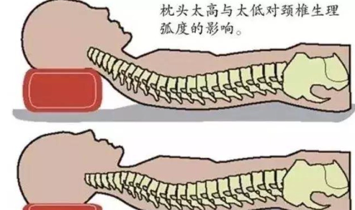 枕頭高度 枕頭高度