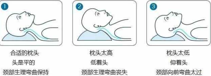 適合的枕頭高度