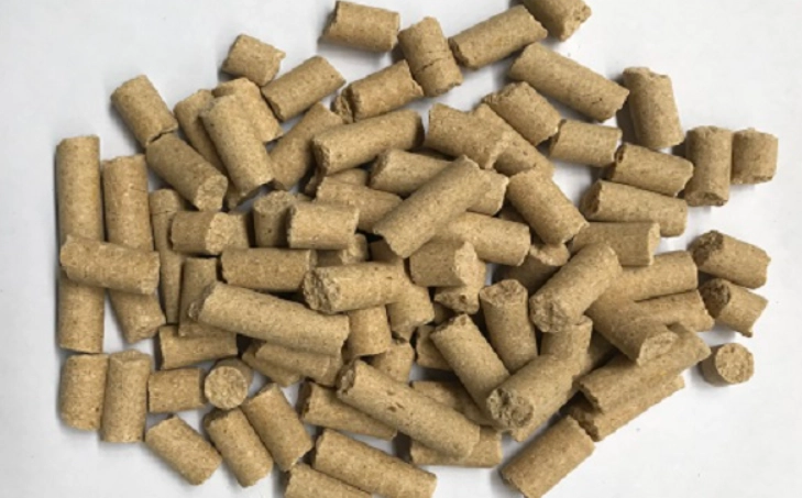 高齡鼠飼料推薦