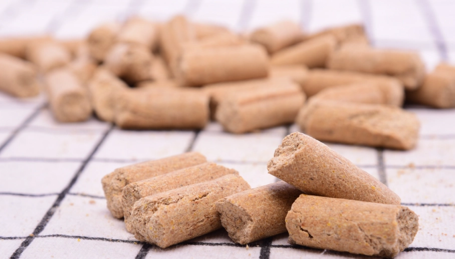 高齡鼠飼料推薦