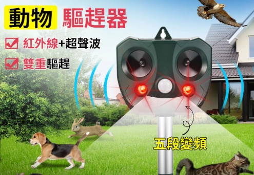 超音波驅貓器有用嗎？真實體驗與科學分析完整指南